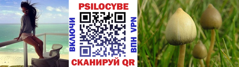 Псилоцибиновые грибы MAGIC MUSHROOMS Корсаков