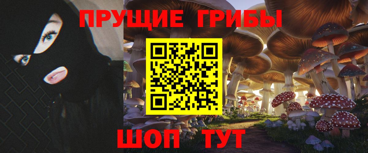Корсаков  Галлюциногенные грибы MAGIC MUSHROOMS  Вход с VPN 