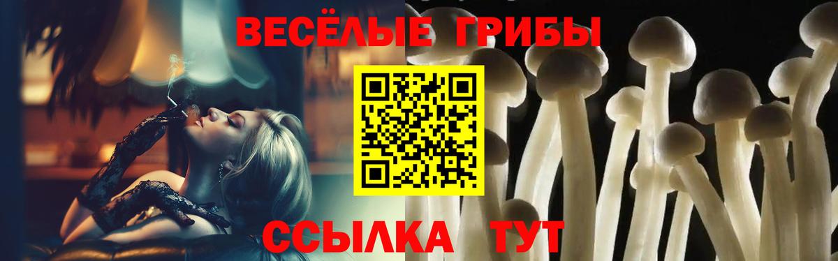 Псилоцибиновые грибы мицелий Корсаков